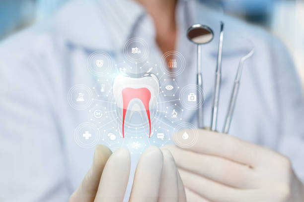 Best Emergency Dental Care  in Round Lake Park, IL