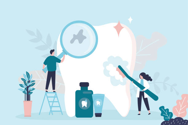Best Traditional Braces  in Round Lake Park, IL